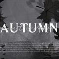 AUTUMN : ALWAYS OPEN