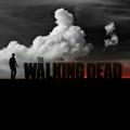 Twd Rhi