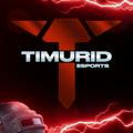 TIMURID eSports 🇺🇿