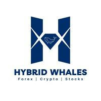 Hybrid Whales™