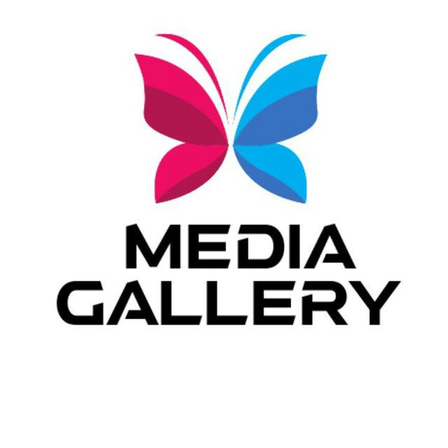 Media Gallery