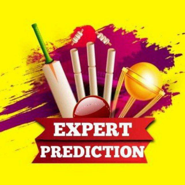 Expert Prediction 2010