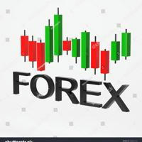Forex Trading KinG