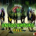 🐕‍🦺 Smartbets GALGOS Virtual