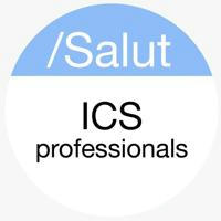 Info Professionals ICS