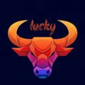 Lucky Bulls