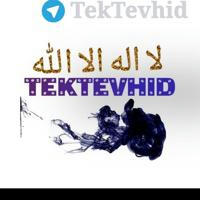 TEKTEVHİD