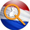 Qlobal-Change Nederland 🇳🇱