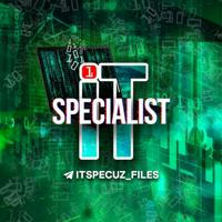 IT specialist fayllari