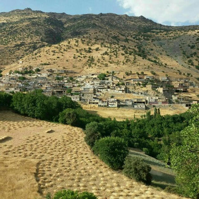 دهیاری روستای برقرو