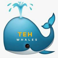 Teh Whale's Call
