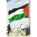 هكر فلسطين