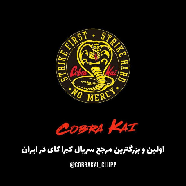 سریال کبرا کای | CobraKai