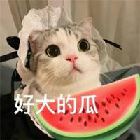 🍉吃瓜搞笑猎奇中心🌚（U8.COM独家冠名赞助）