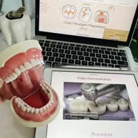 ملخصات ونماذج طب الأسنان level 1&2&3