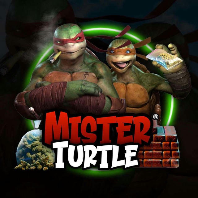 𝐌𝐈𝐒𝐓𝐄𝐑 𝐓𝐔𝐑𝐓𝐋𝐄 🐢