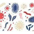 Infection and immunity questions