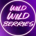 Wild Wild🫐Berries