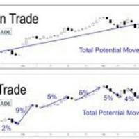 Swing & positional stock