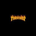 Thrasher🐾