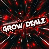 Flipkart Shopsy Deals GrowDealz GrowDeals