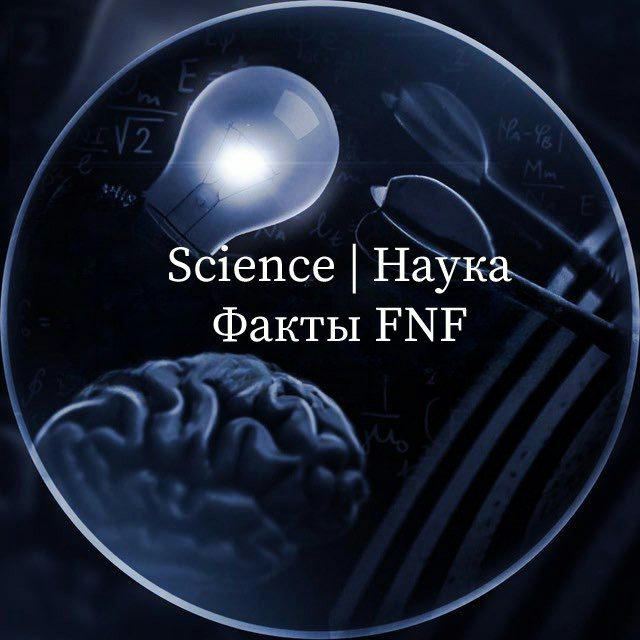 Science Наука | Факты FNF