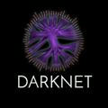 DarkNet Secret 🔪