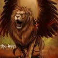 THE LION OFFICIAL