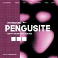 www.pengusite.co ‹𝟹