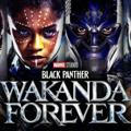 Black panther wakanda forever Hindi movie download