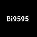 Bi9595
