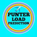 PUNTER LOAD PREDICTION