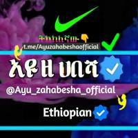 Ayu ZeHabesha-Official (አዩ ዘሀበሻ)