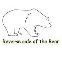 Обратная сторона Медведя