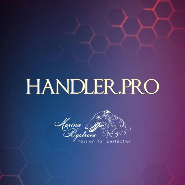 HANDLER.pro 🏆
