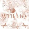 WTB Livy, close (down)
