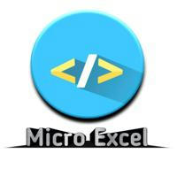 Micro Excel