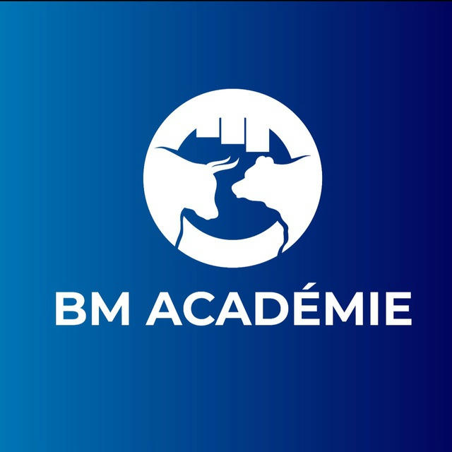 BM Académie 👨‍🏫