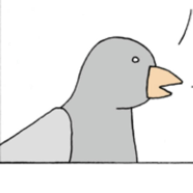 πgeon