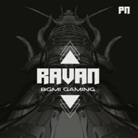 Ravan Gaming Yt