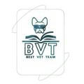 BVT(Best Vet Team) L2😎💪