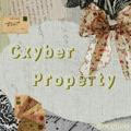 CYBER PROPERTY • HFW PINNED