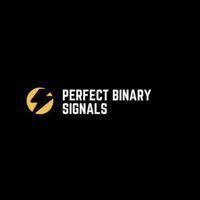 Perfect Binary Signals