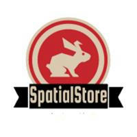 Spatial Store
