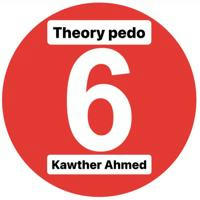 theory pediatric 6C