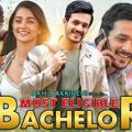 Most Eligible Bachelor Hindi Movies