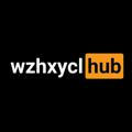 [SNX] wzhxycl hub