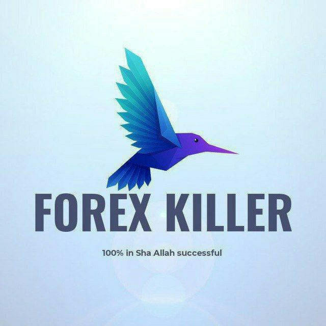 FOREX KILLER™