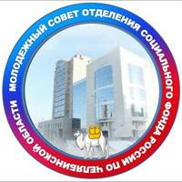 Молодежный Совет Отделения СФР по Челябинской области