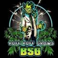 Puffpuffgrows_BSG